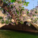 연지약국 | 김해 위고비 찾고 계신다면 먼저 확인해봐야 할 것