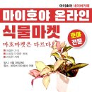 호야마켓