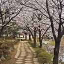 국원고등학교 이미지