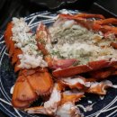 진참치신평점 이미지