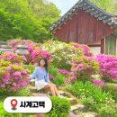 사계고택 | 계룡 사계고택 충남 철쭉명소 전통체험 대전근교나들이