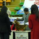 팜랜드02