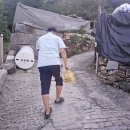 25.9.11. 깍두기, 과일(포도, 오렌지), 멸치볶음 이미지