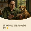 강아지당 | 강아지 보험 가입할까 말까? 실제 후기로 알아보는 선택 기준