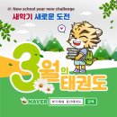 한국체대 영웅 태권도장 이미지