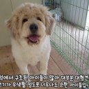 아지네농장 이미지