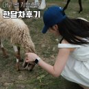 만세뚝 | 대구 팔 지방흡입 한달차 - 붓기 멍 흉터 부작용 상세후기!