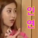 담애 네이버블로그