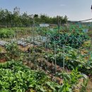 죽곡농장 이미지