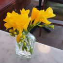 내가 우리집 가드너 이미지