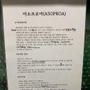 아소프로아 이미지