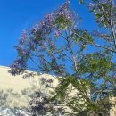 동오주유소 | 11월 4주차