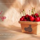 디자인아마