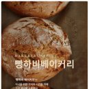 카페하비 이미지