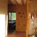 평창들꽃 이미지