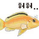 대전수족관