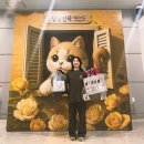 고양이 집사 추천! 냥냥펀치 캣쇼 킨텍스 후기 &amp; 부산 / 마곡 팁!