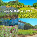 경기도꽃구경 명소 화성 우리꽃식물원 6월 실시간 후기