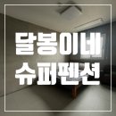 대부도 애견펜션 달봉이네슈퍼펜션에서 꿈같은 시간을 보내다