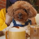 바테펜션 이미지