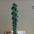 용비농장 이미지