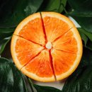 한서생물 이미지