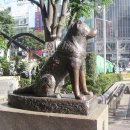 수78 /20051073/박효근입니다 이미지