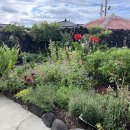 김녕안트레 이미지