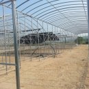 온누리농장 이미지