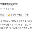 이쁘냥 고양이미용실 대전점 이미지