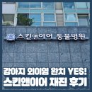 스킨앤이어동물병원 | 강아지 외이염 재진 후기｜송파 스킨앤이어 완치 과정 기록