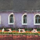 카페보타니 | 파주 아기랑 갈만한 곳 벽초지 수목원 , 보타니 카페🌺🌸🌼