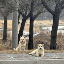 제천시노인회관 | 국토대장정 늦은 후기
