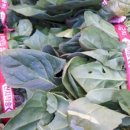 설천면004 이미지