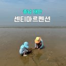 태안전자 | 태안 센티마르펜션 센티동 301호 내돈내산 솔직후기
