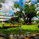 곡성-169 이미지