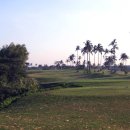 더 리베라 이미지