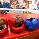 국제복싱클럽 이미지