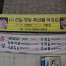 한일 정육