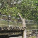 의신 베어빌리지 이미지