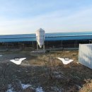 우사축사 이미지