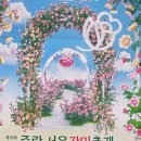 ​5월 꽃축제 2026 중랑 서울장미축제 주말 아침 여유로운 산책 후기