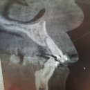 오스톤치과의원 이미지