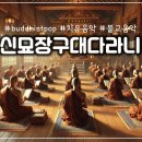 B_pop 14신묘장구대다라니(대비주) 이미지