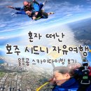 울릉도서관 화장실 | 혼자 떠난 호주 시드니 자유여행 울릉공 스카이다이빙 후기