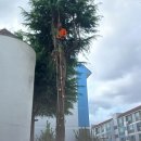 송정유치원 이미지