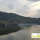 옥천할인마트 이미지
