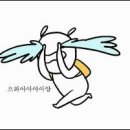 불향기 이미지