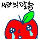 킹왕짱 이미지