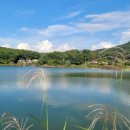 산삼고을